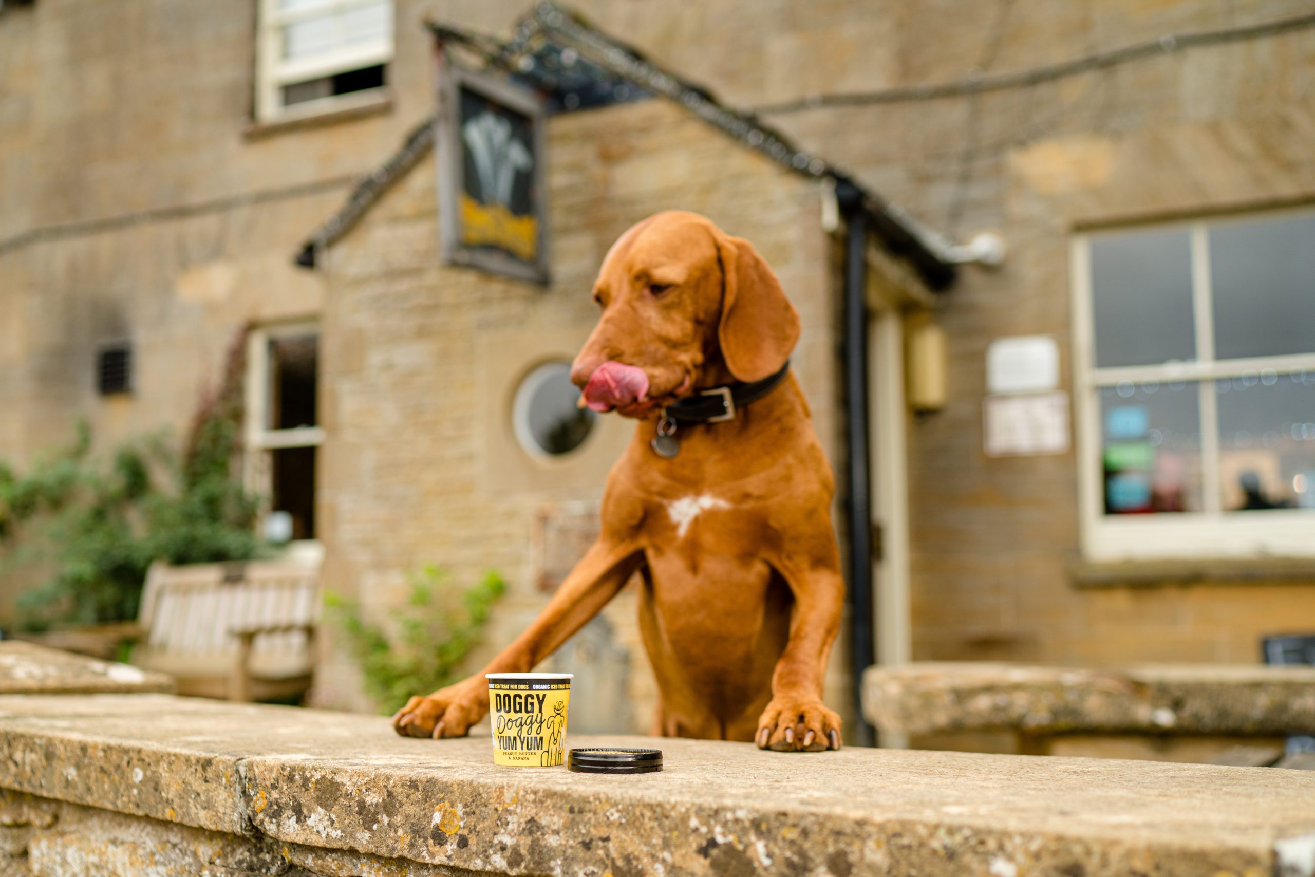 Doggy Doggy Yum Yum secures new stockists as sales rise