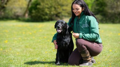 Bark & Birch expands into US