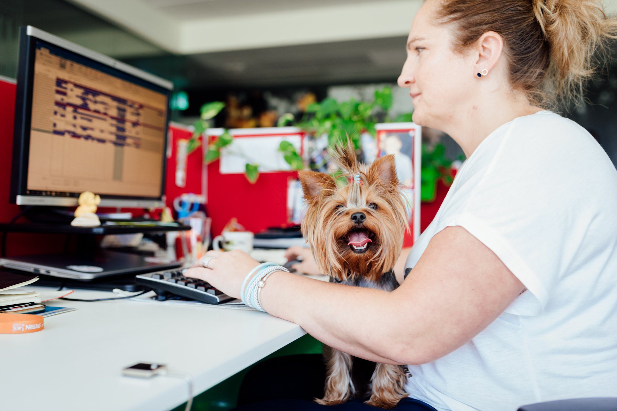 Purina launches sixth Unleashed by Purina campaign