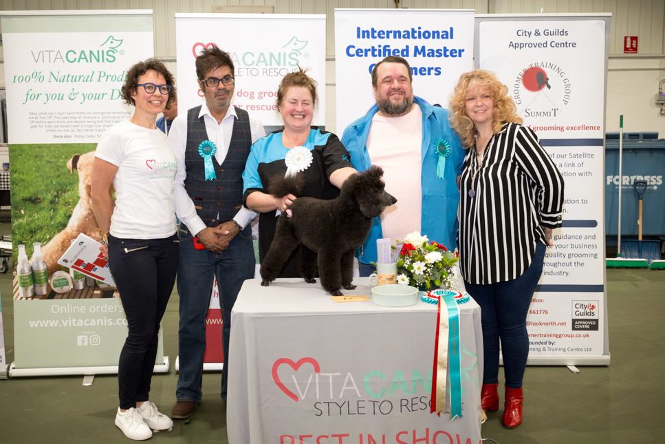 Vita Canis raises £4,000 for dog rescue centres