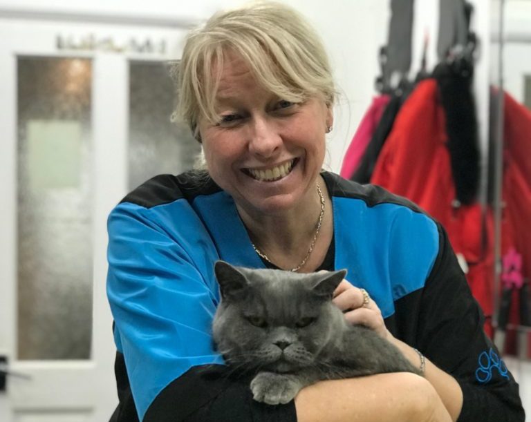 First cat grooming qualification portfolio launched in UK