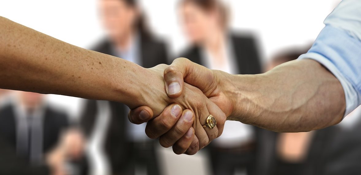 Vafo Praha appoints Milan Bartoš as managing director