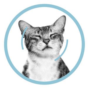 Excite their senses and ignite your sales