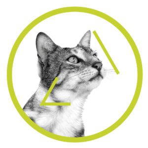 Excite their senses and ignite your sales