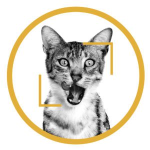 Excite their senses and ignite your sales