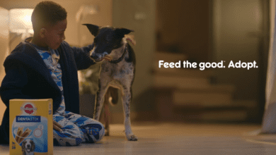 Mars Petcare launches £1.3m TV campaign