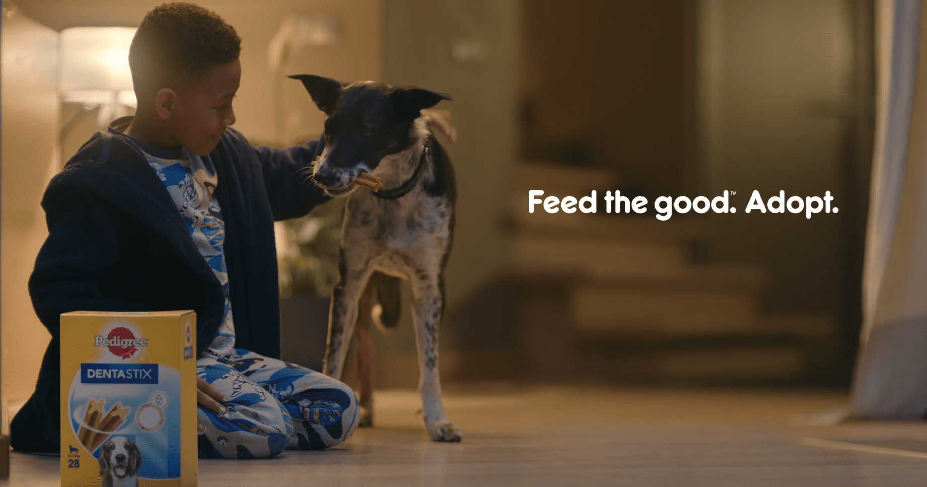 Mars Petcare launches £1.3m TV campaign