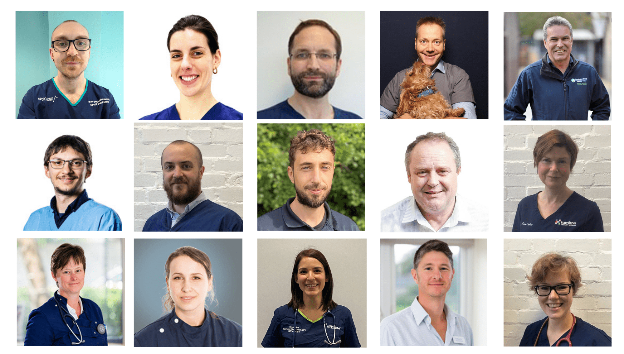 London Vet Show to receive ‘shake-up’ in 2021