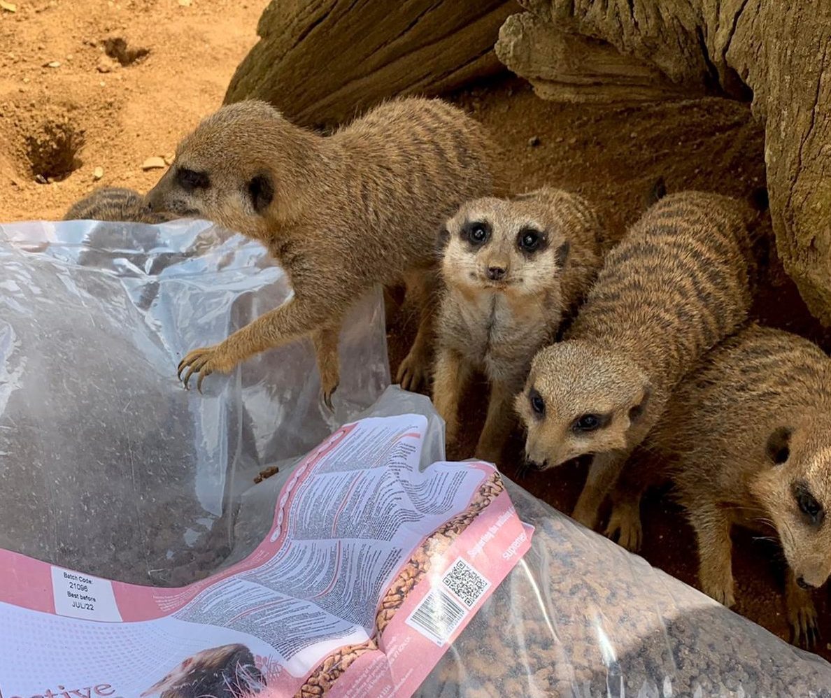 Supreme Petfoods donates free food to Jimmy’s Farm