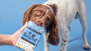 Pooch & Mutt launches new ‘low fat’ food for dogs