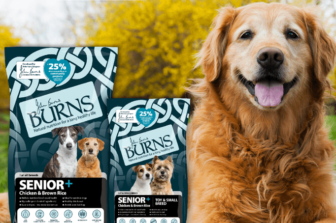 Burns Pet Nutrition launches new senior range