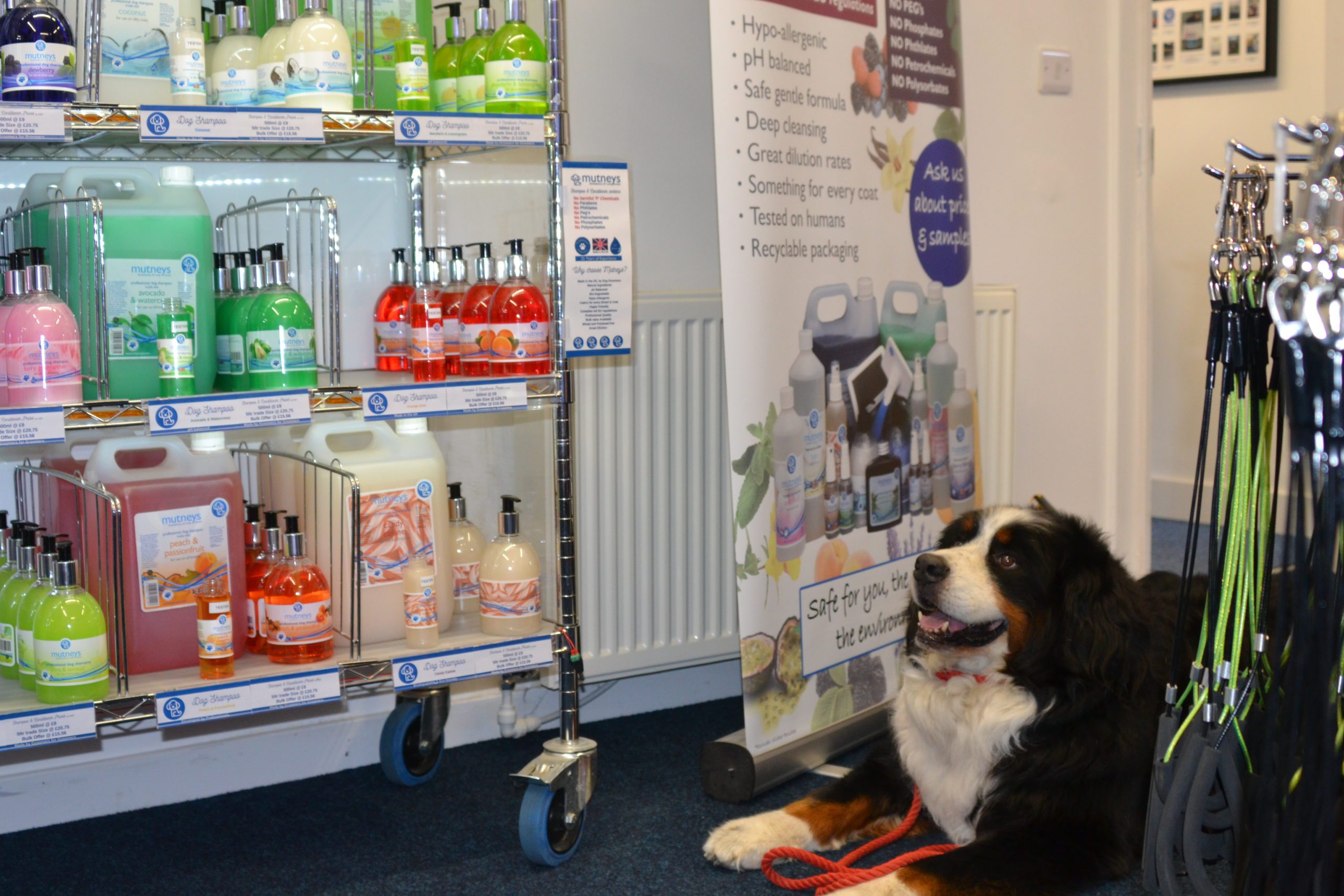 Mutneys unveils new showroom