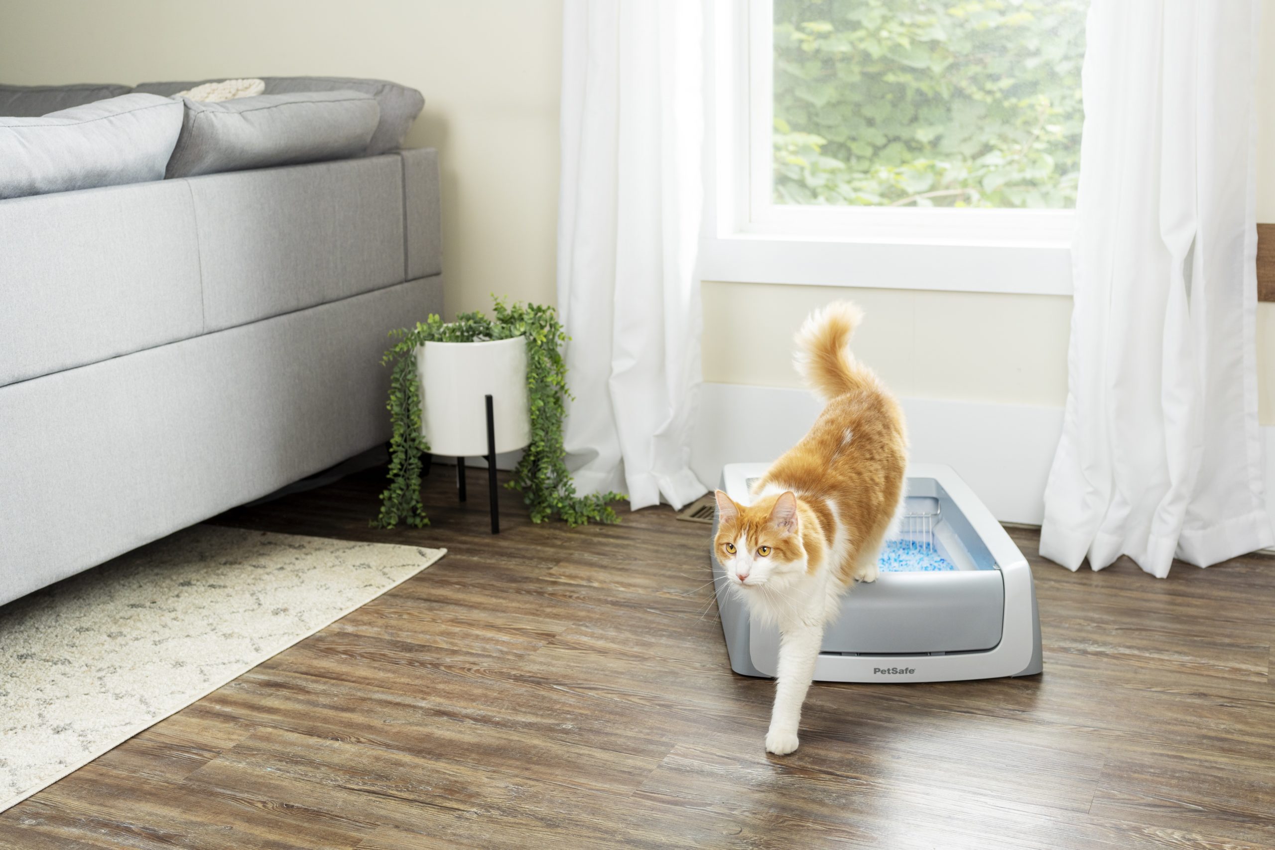 Petsafe upgrades Scoopfree litter box