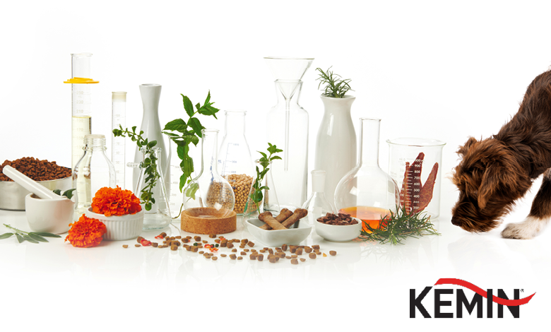 Using Natural Antioxidants Effectively