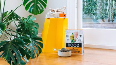 Nood to make UK debut this autumn