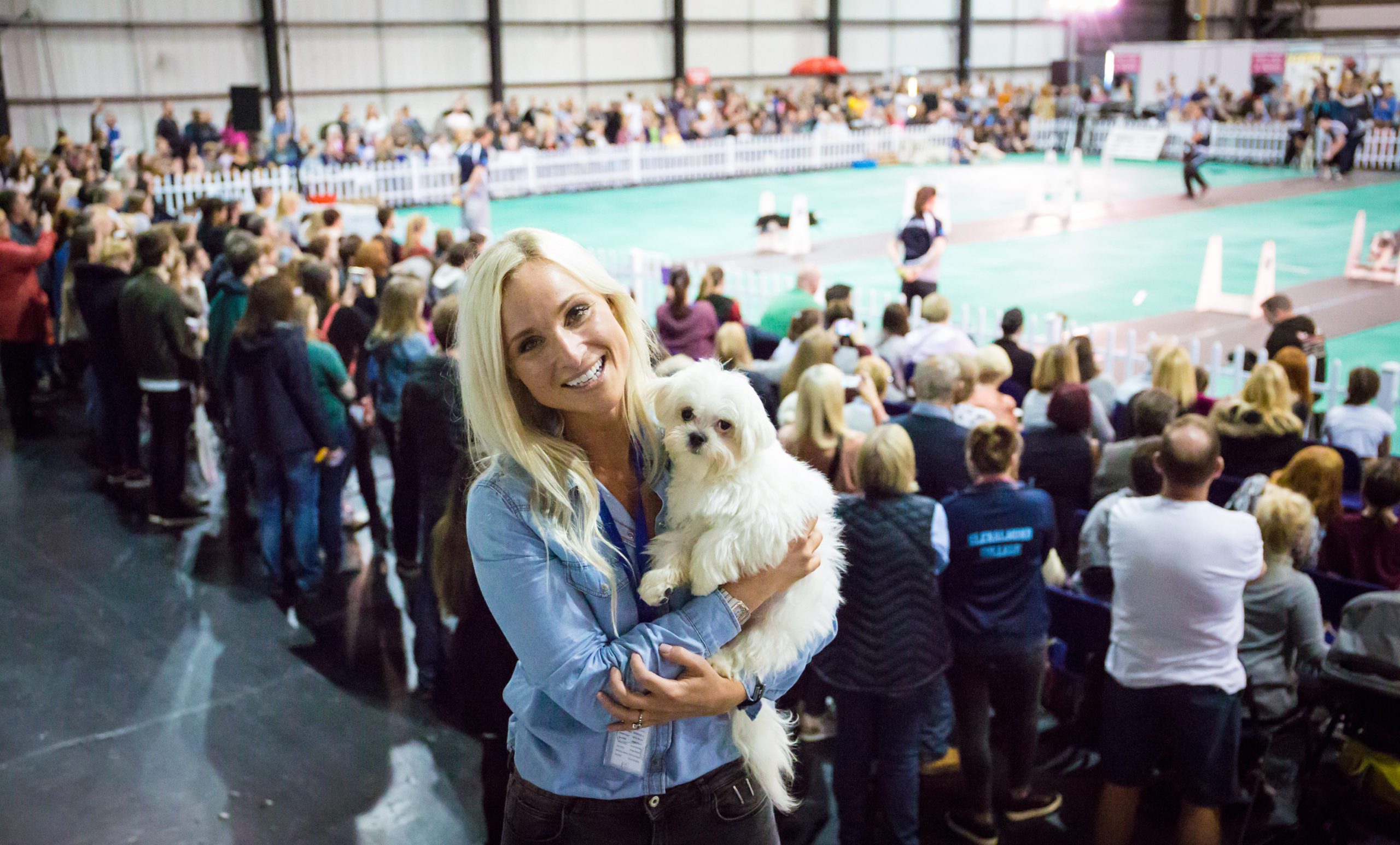 Dog Lover Show Glasgow SEC & The Event Complex Aberdeen 