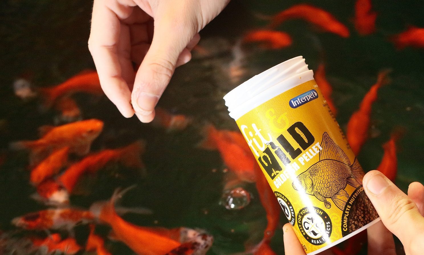 Interpet launches new fishmeal-free food range