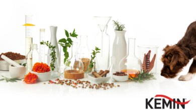 Using Natural Antioxidants Effectively