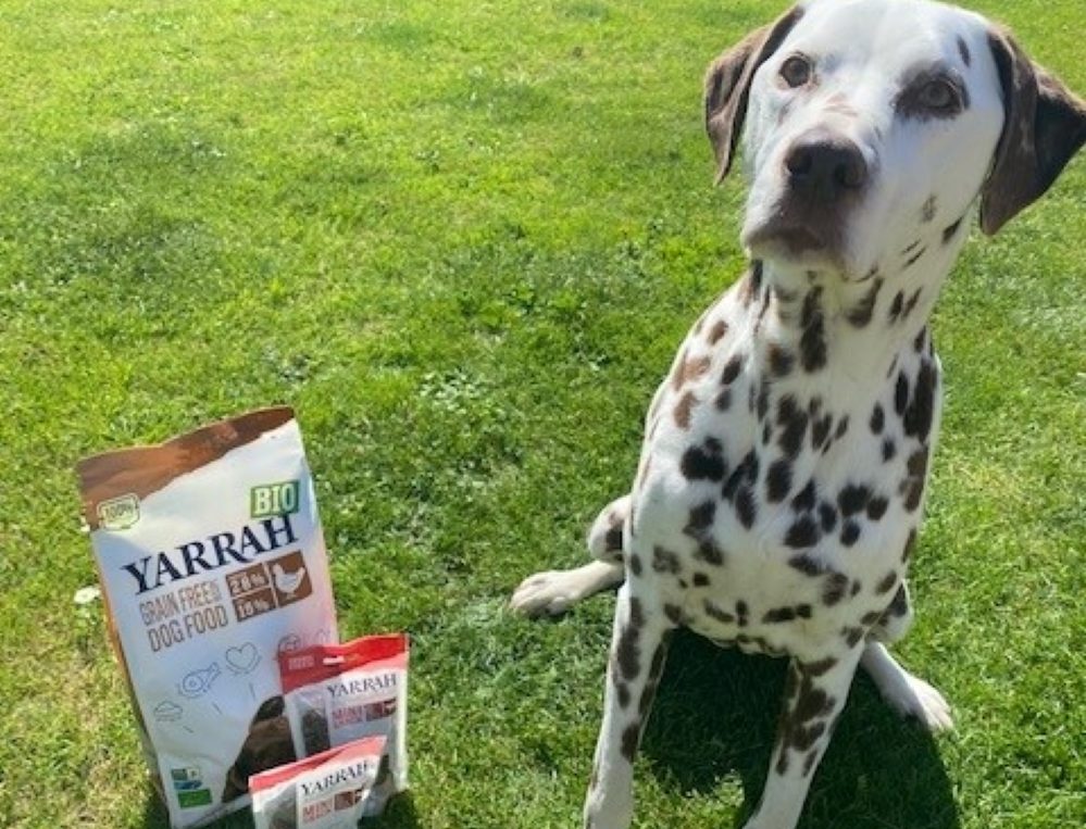 Yarrah recognised by Our Dogs panel