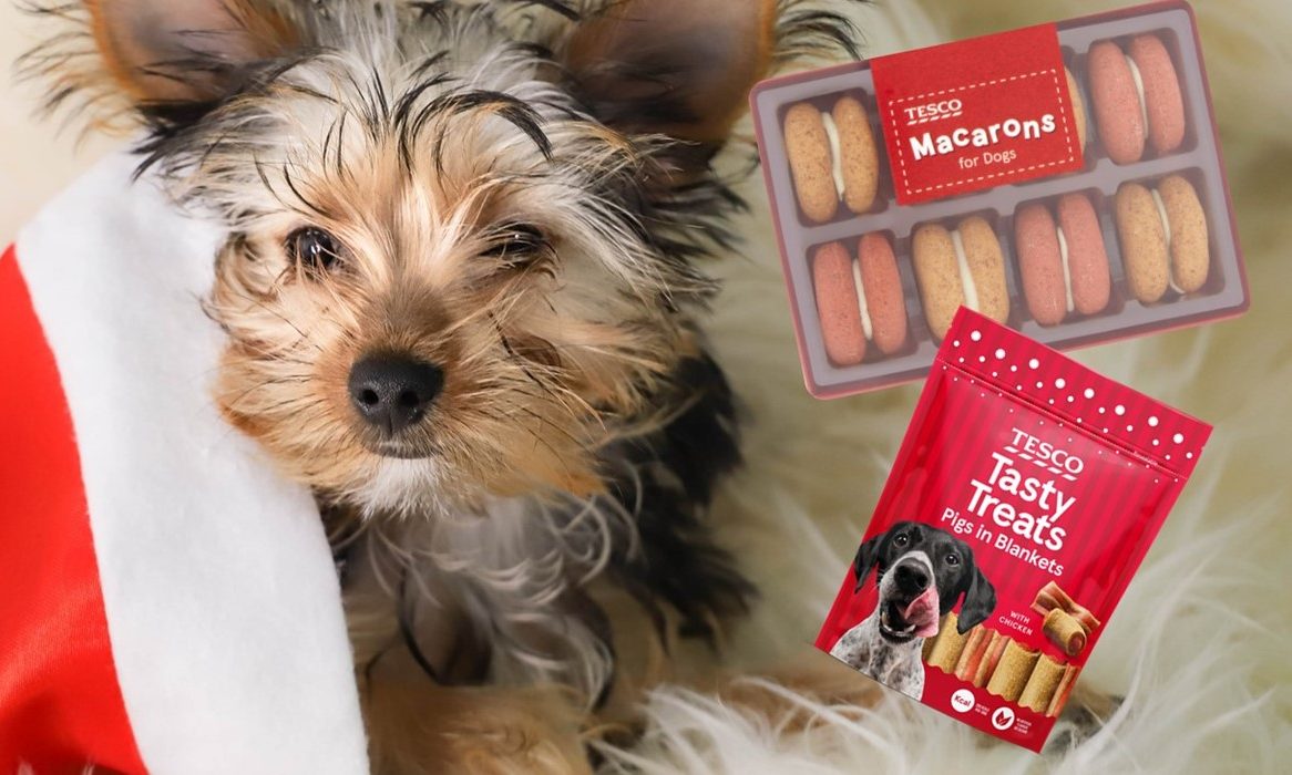 Pet gift demand set to surge this Christmas