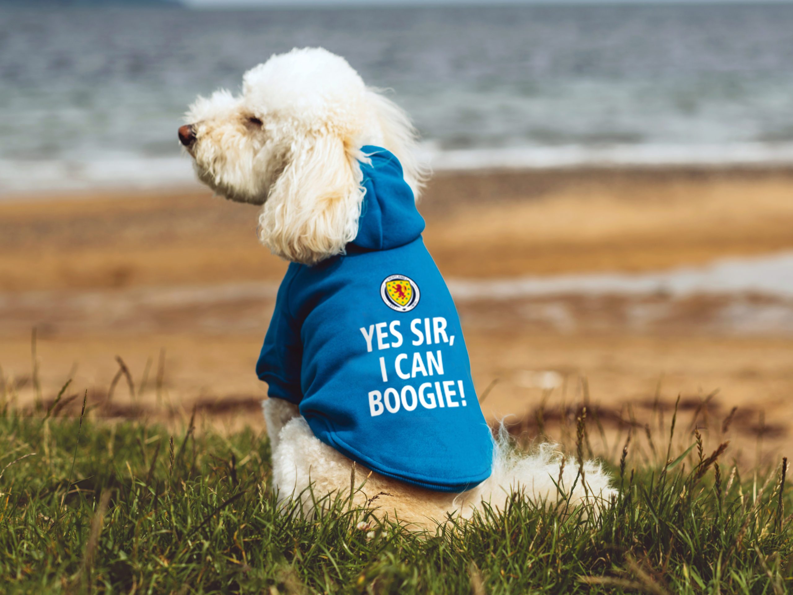 Urban Pups partners with Scotland Football Association for new range