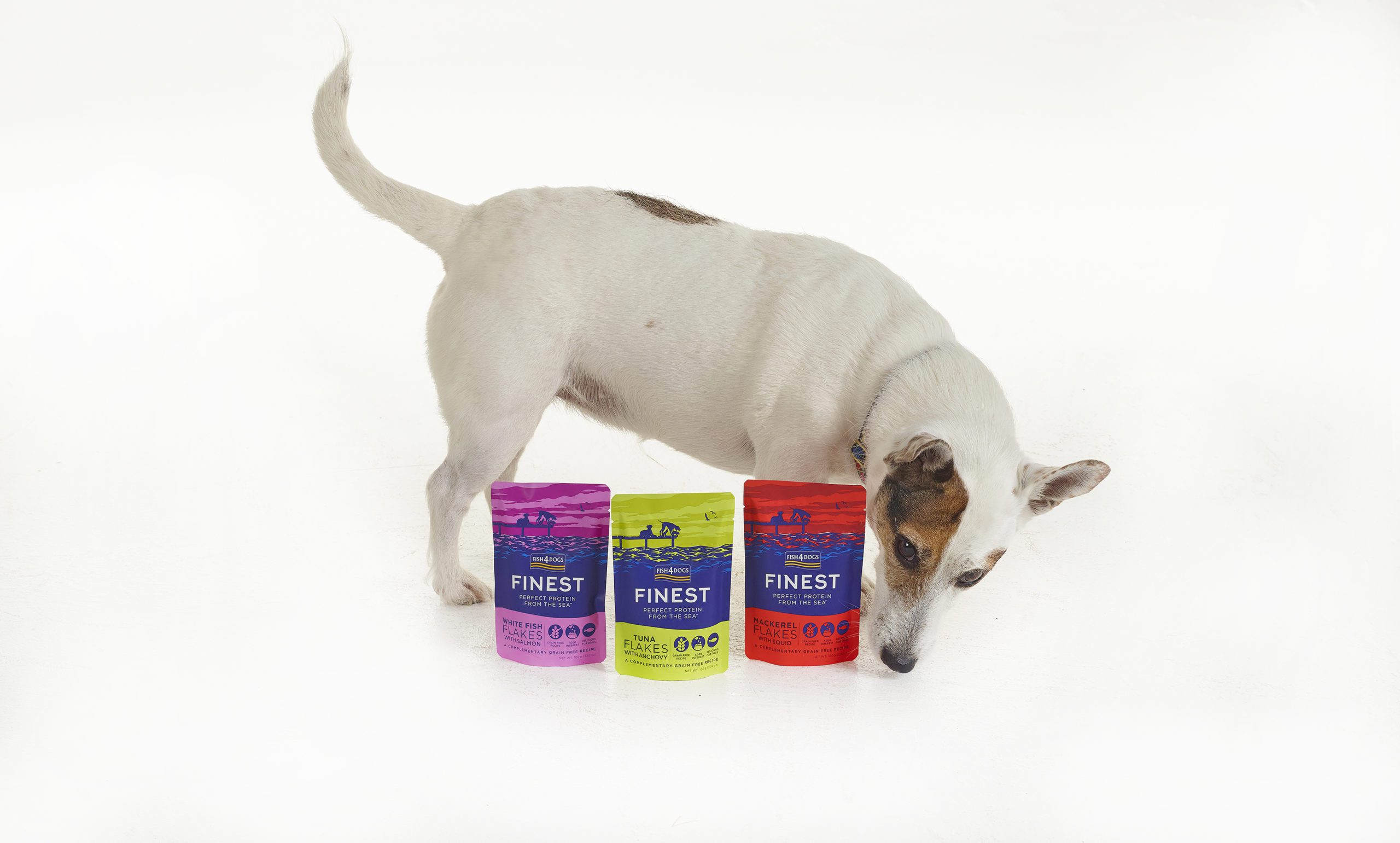 Fish4Dogs launches new wet food range
