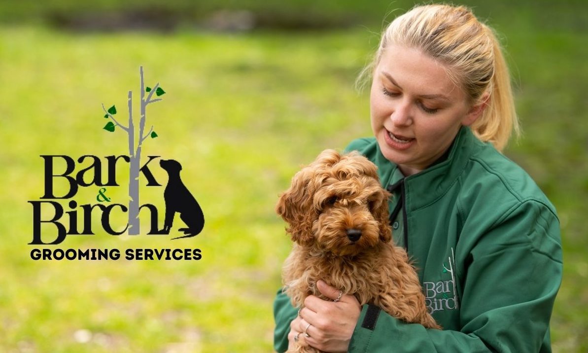 Bark and Birch expands offering with new grooming service