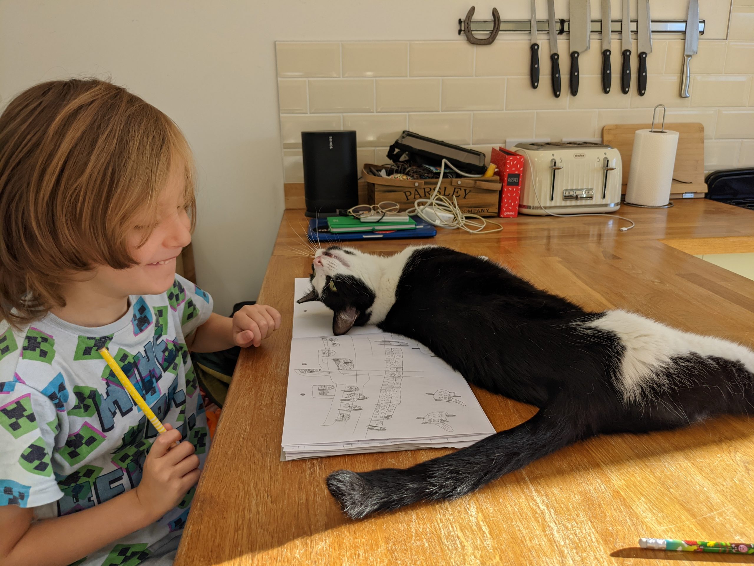 RVC: Diabetes remission research progress