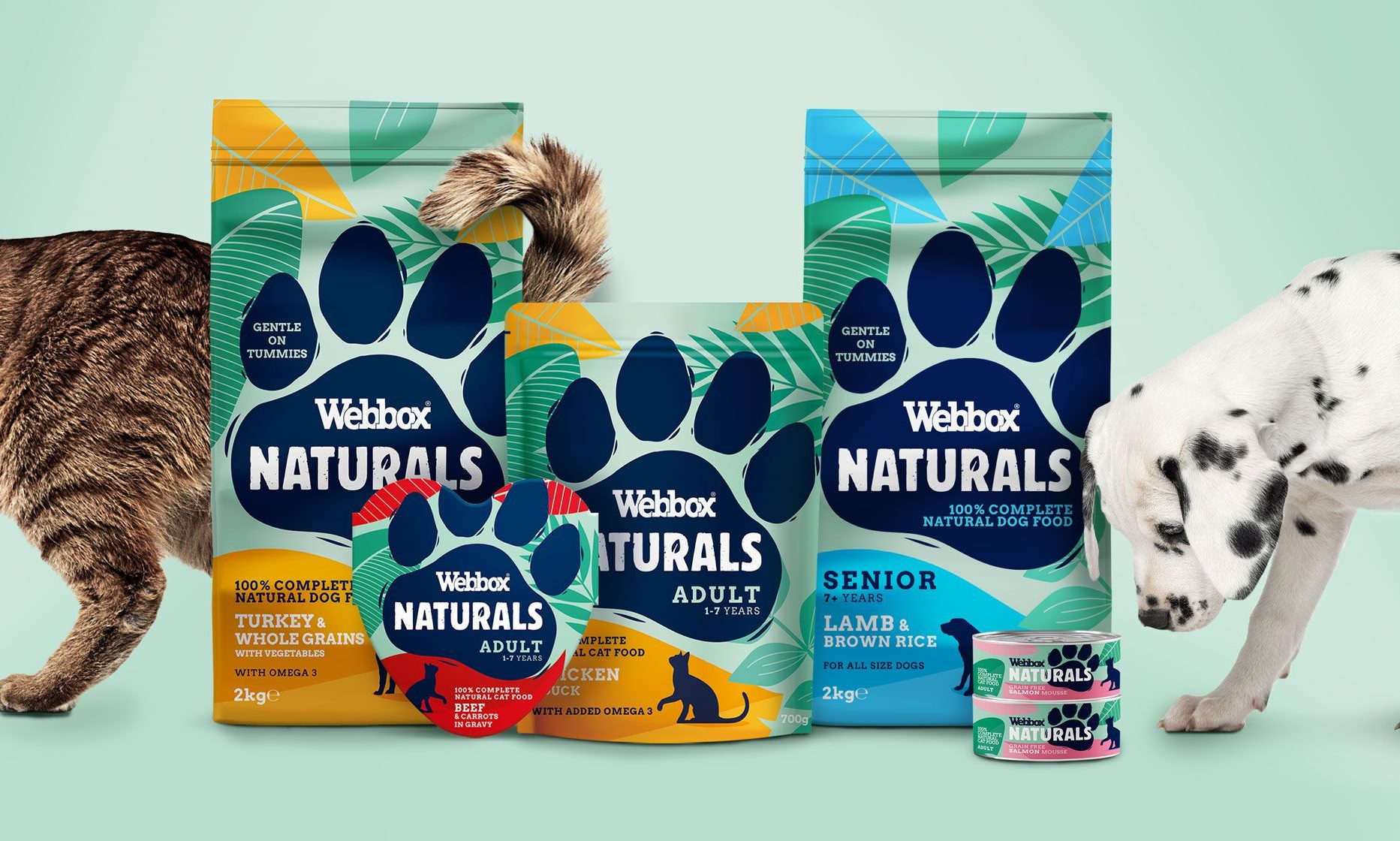 Webbox hails 2021 performance