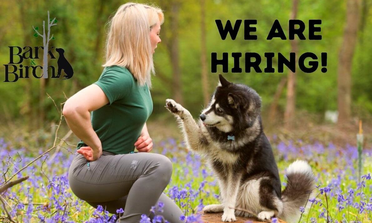 Bark and Birch unveils global recruitment drive