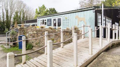 Natural Cornish to support animals in Ukraine