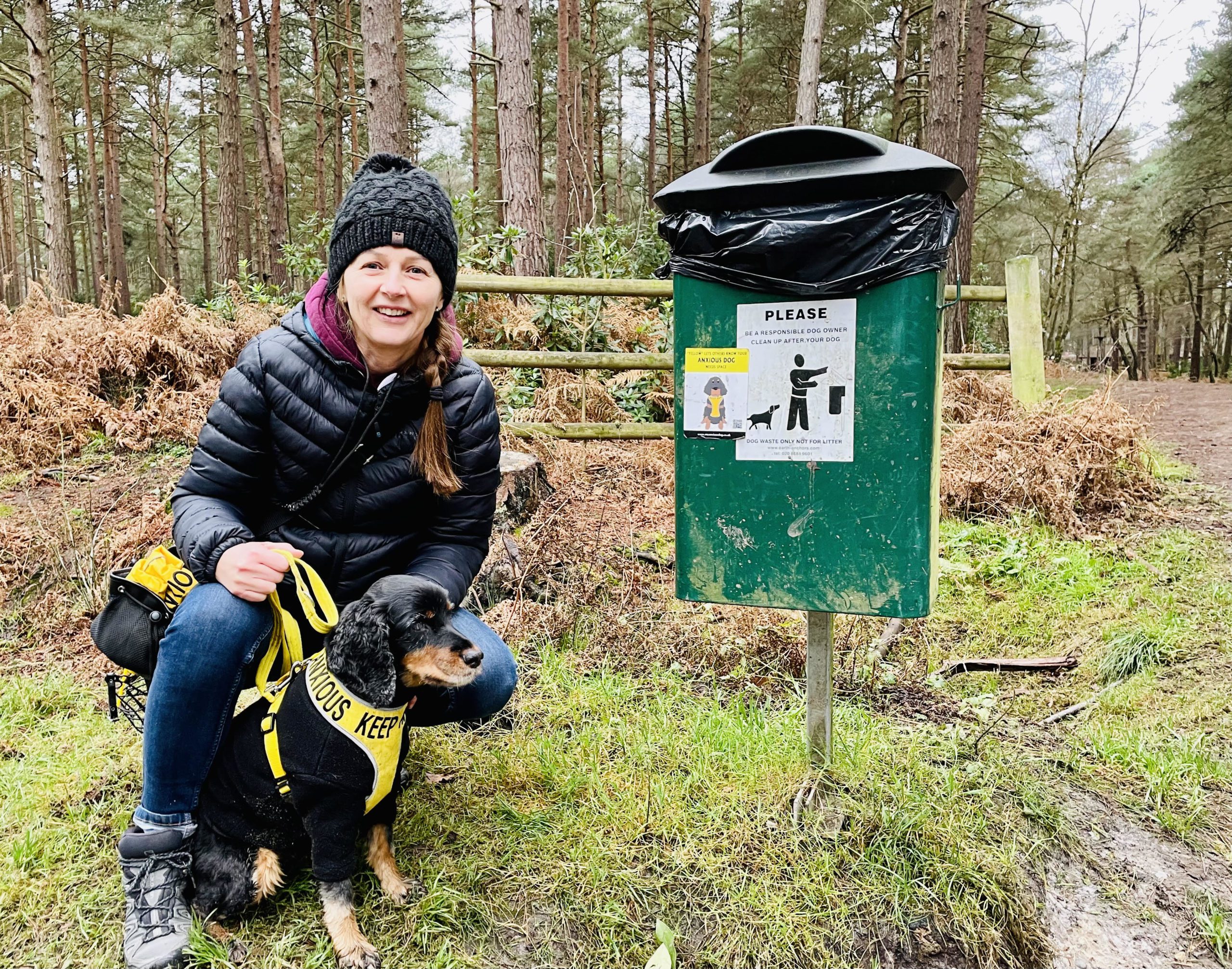 Bella’s Collars launches Dogs in Yellow Day campaign