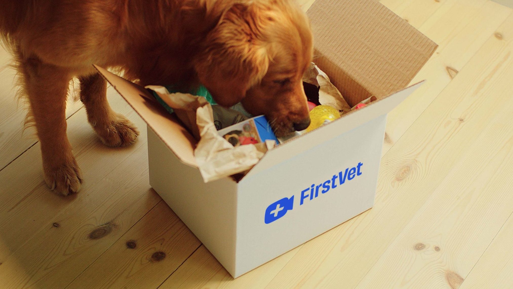FirstVet launches UK digital e-commerce platform