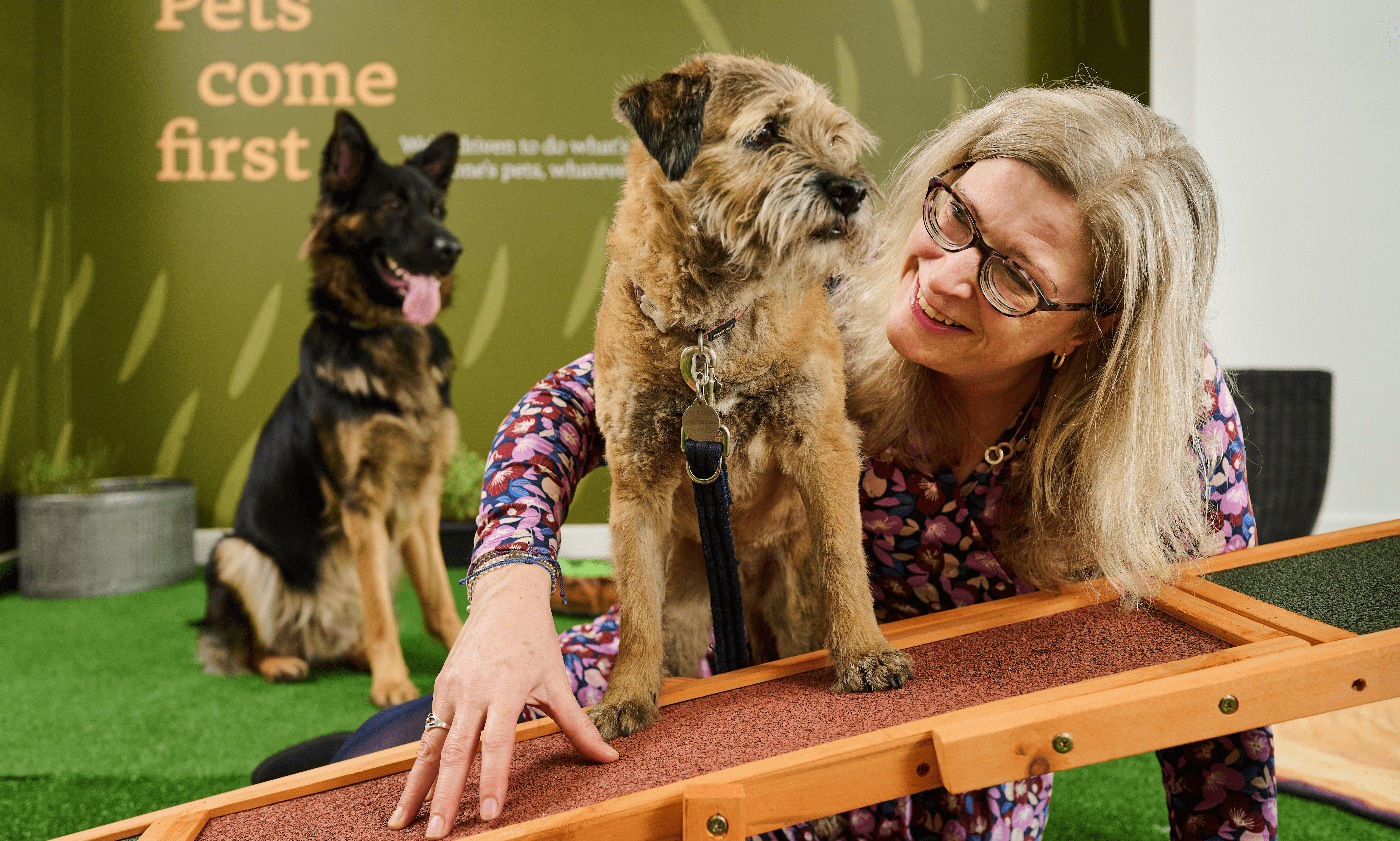 Bella and Duke opens pet friendly office