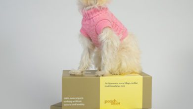 Pooch Snax launches first natural treat range