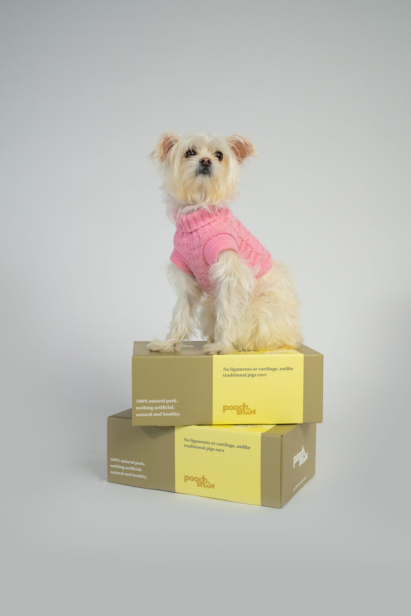 Pooch Snax launches first natural treat range