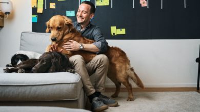 Inside the first vet-led UK e-commerce platform