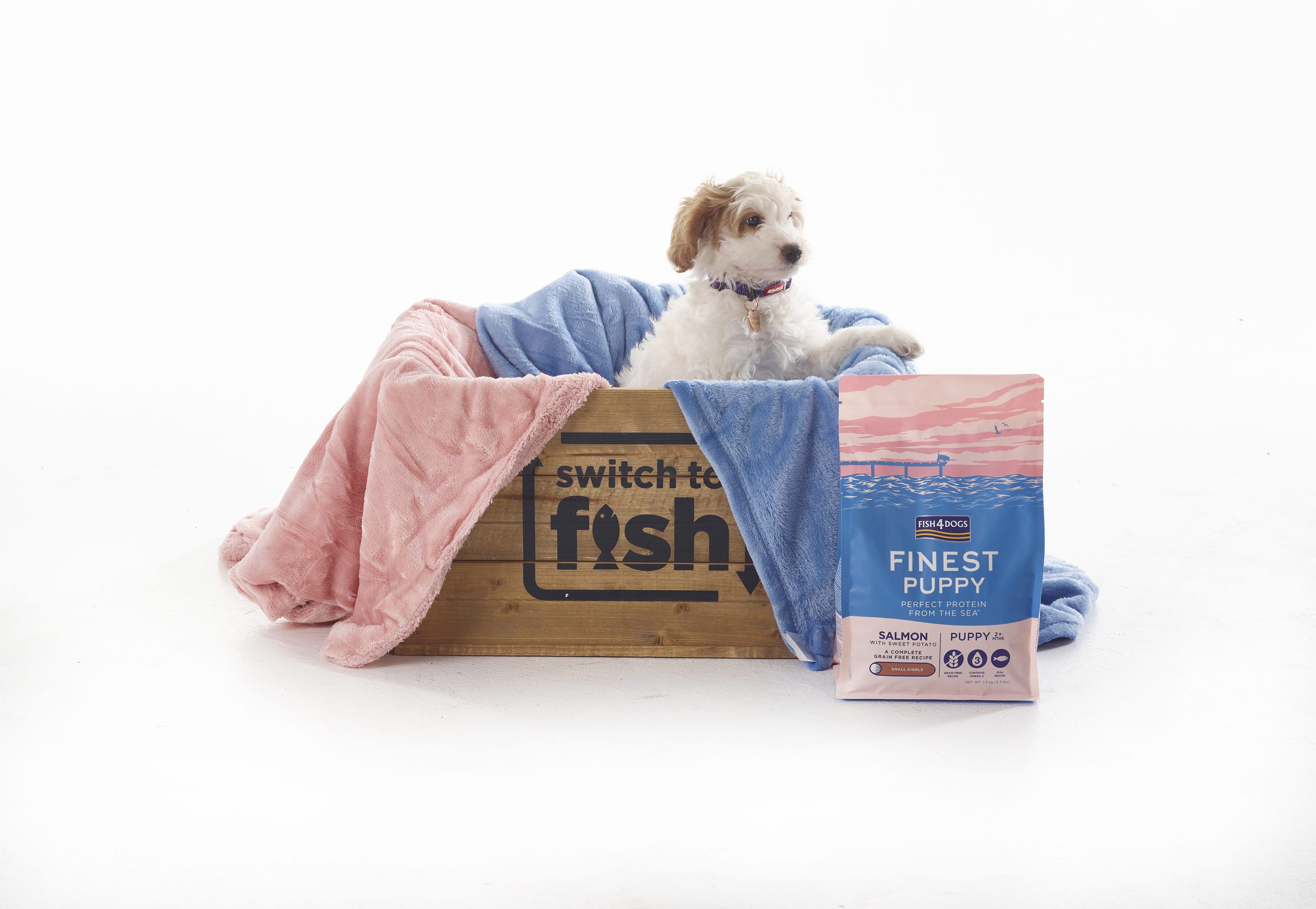 Fish4Dogs unveils new addition to FPCF range