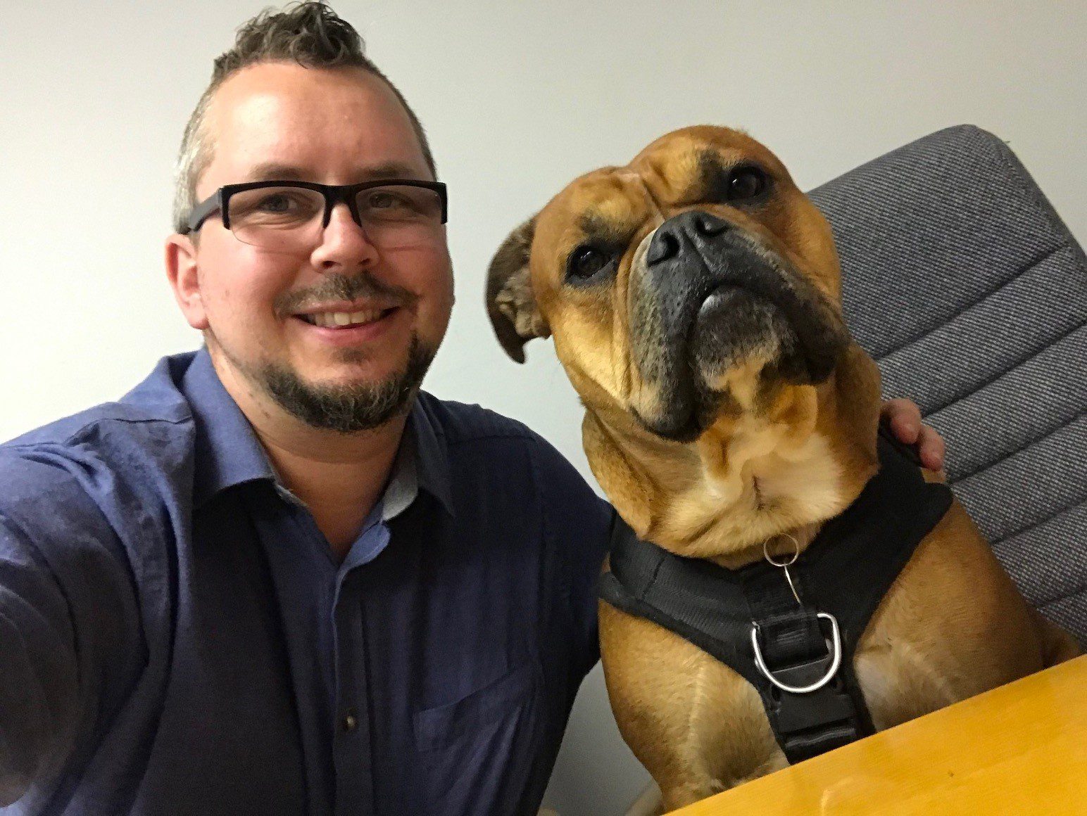 The environmental impact of pet ownership