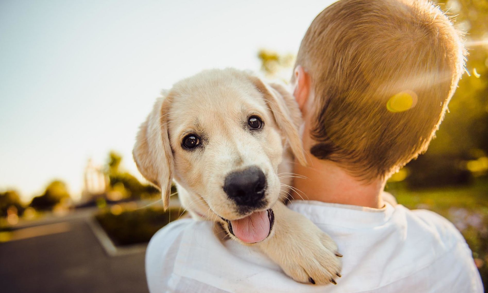 ManyPets acquires Digital Edge 