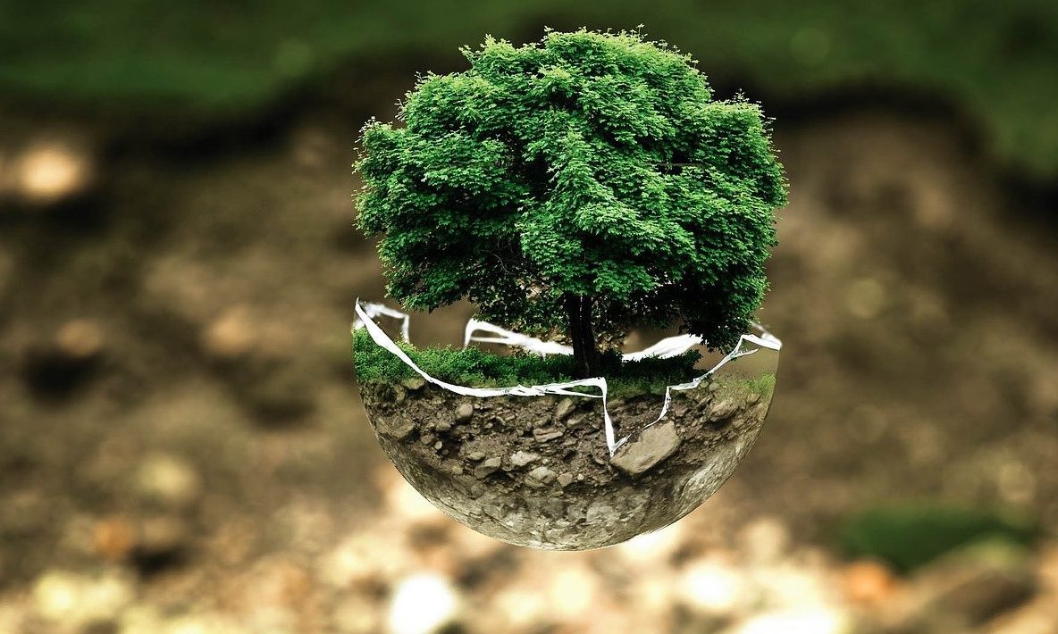 Biomega unveils ESG report for 2023