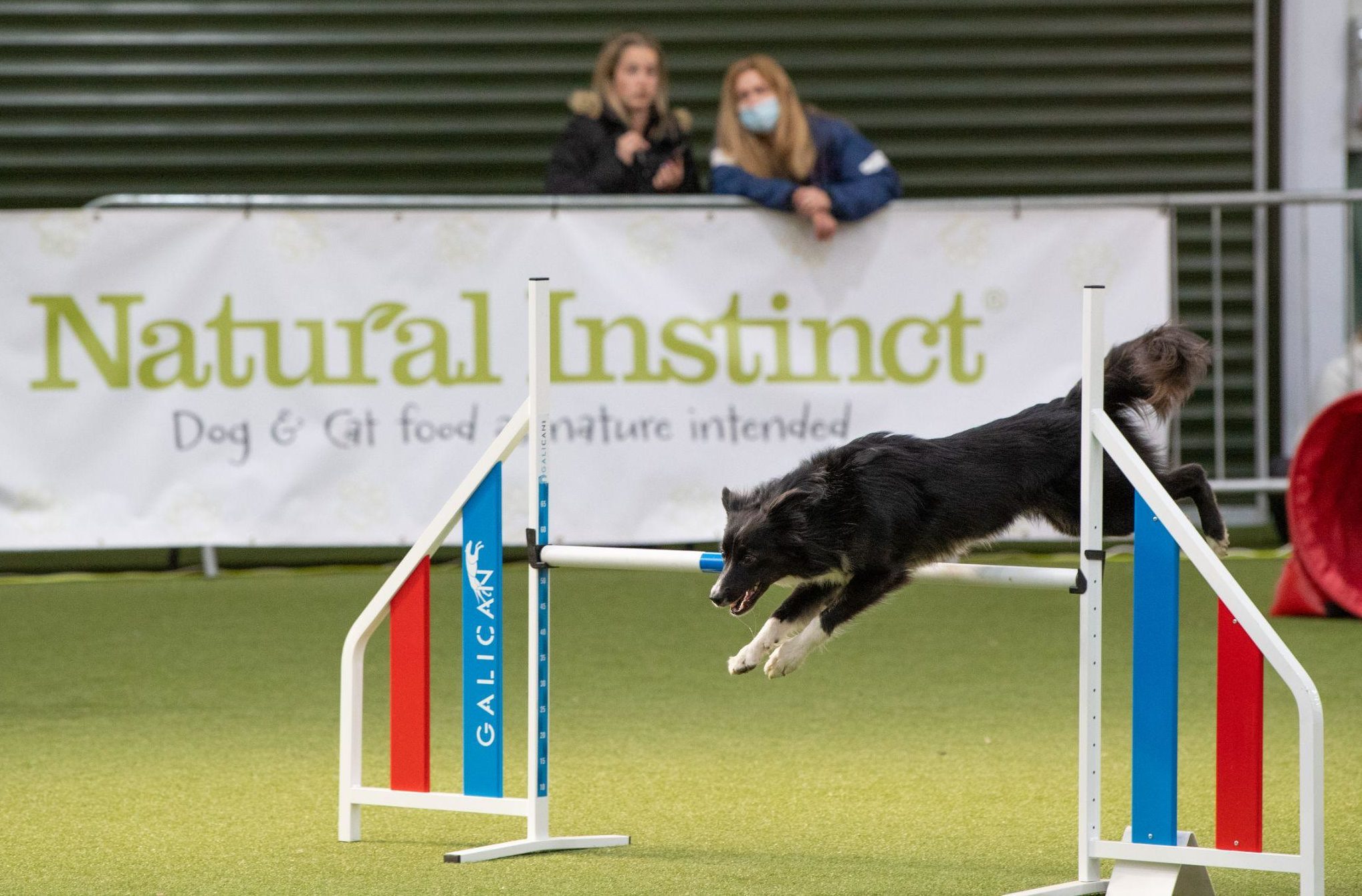 Natural Instinct to be official sponsor of Agility Team GB 2022