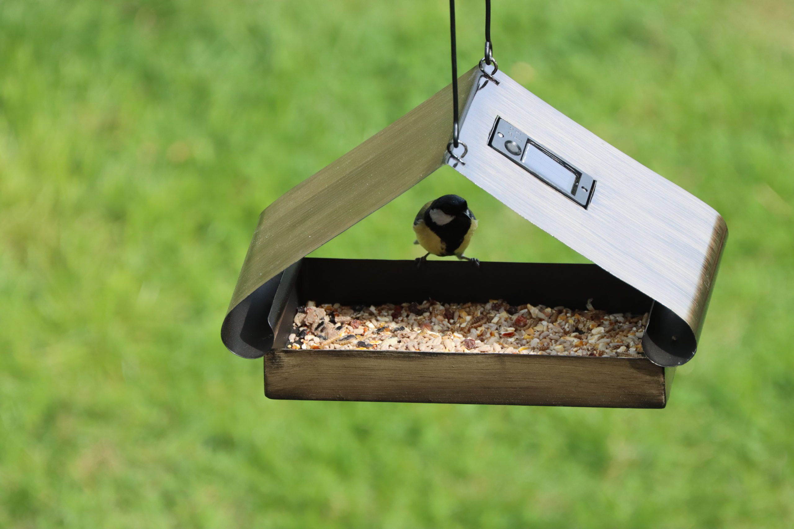 Henry Bell bolsters wild bird product offering