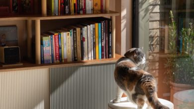 Lozi Designs and Cheshire & Wain launch furniture for cats