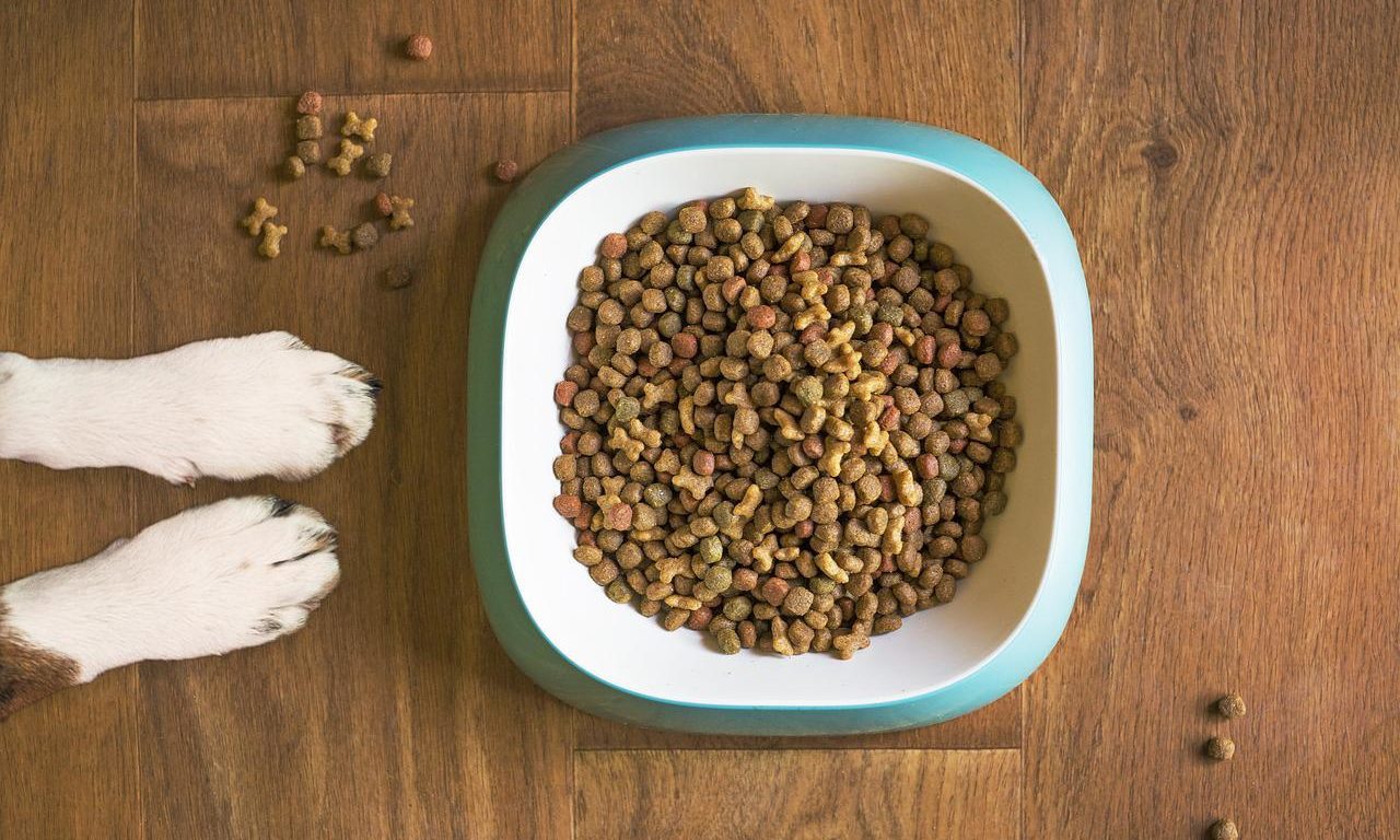 Boost Pet Food reaches 200 UK supermarkets