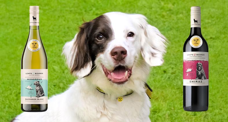 Dogs Trust unveils partnership with Leaps & Bounds