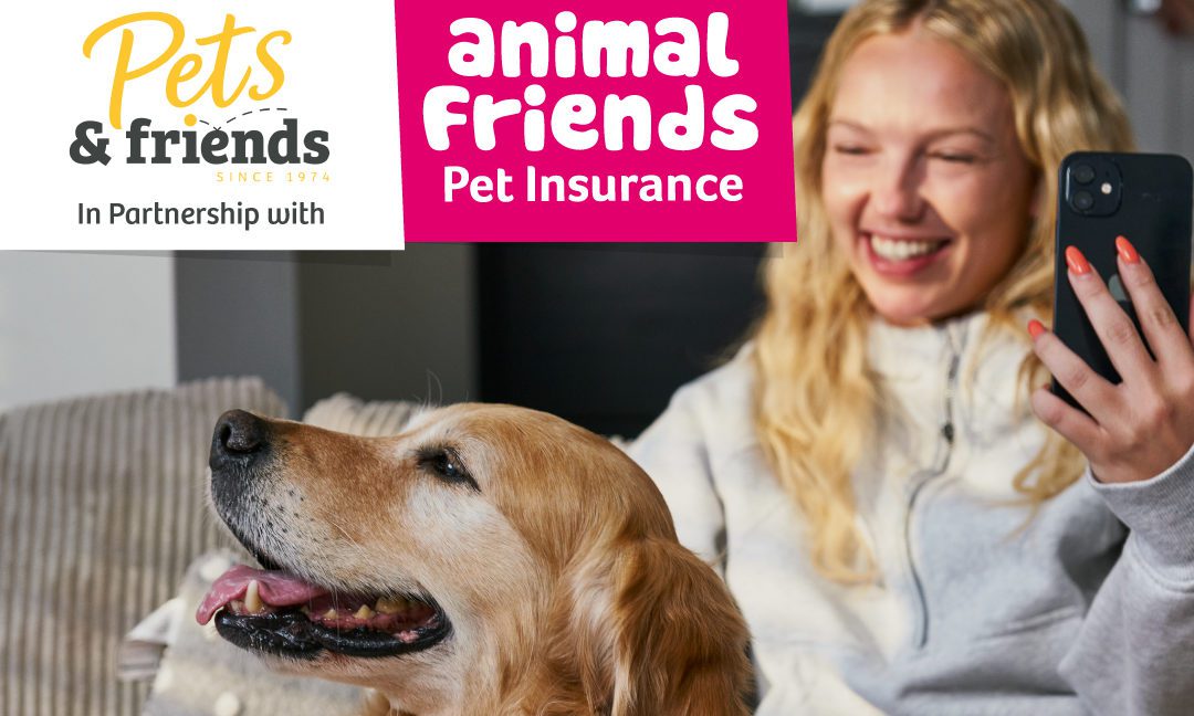 Pets & Friends partners with Animal Friends Insurance Post