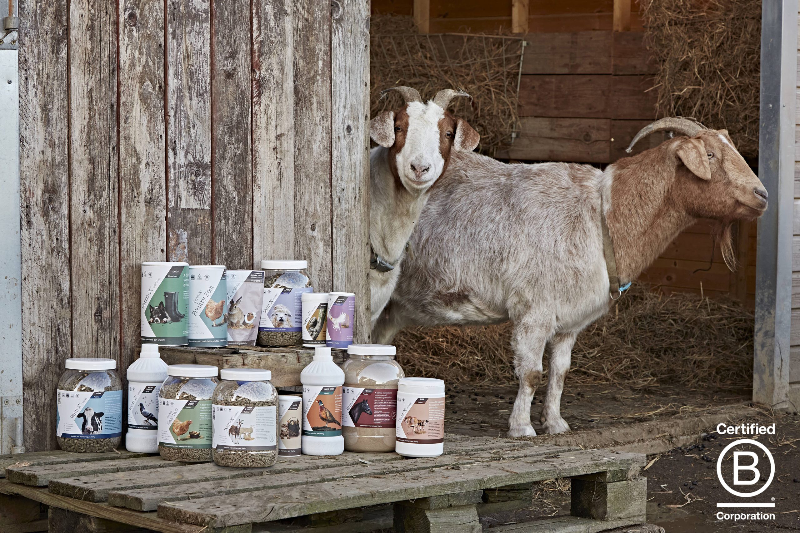 Verm-X receives B Corp certification