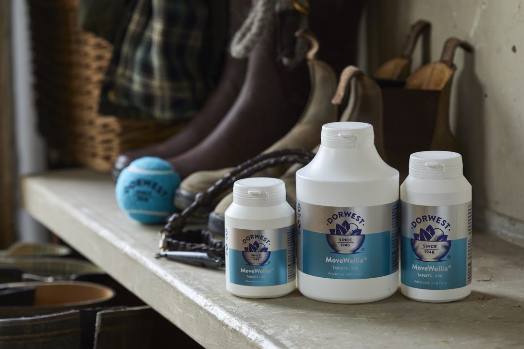 Dorwest Herbs launches new joint supplement for dogs