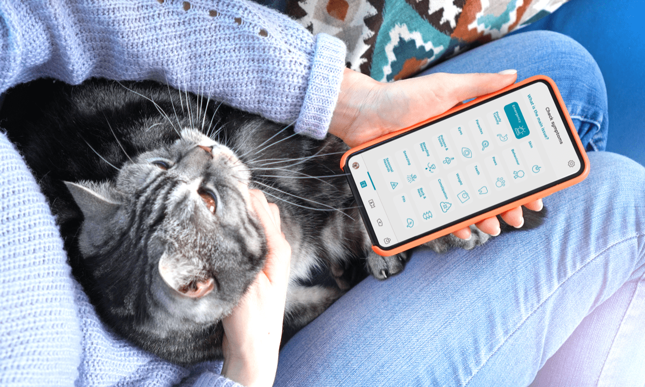 Vet-AI and Joii Pet Care begin study for cats with cancer